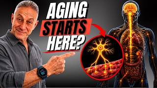 Your Organs Don't Age First — This Does