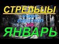 ГОРОСКОП СТРЕЛЬЦЫ НА ЯНВАРЬ.2020