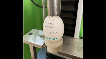 Egg Shell Strength Tester | Egg Tester | Strength Testing Machine