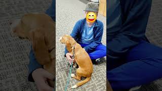 #TherapyDog Visit!