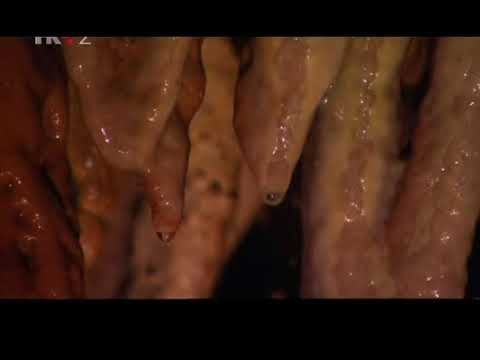 Video: Zašto nastaju stalaktiti?