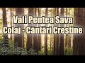 Vali Pentea Sava - Colaj cântări creștine