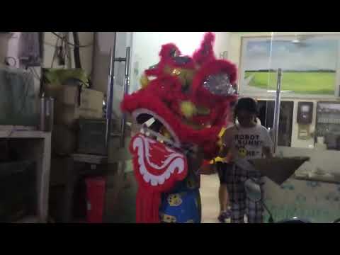 Video @ lân vào nhà gặp may - youtube