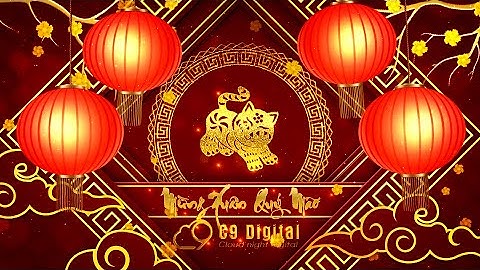 Intro Lời chúc năm mới 2023 - Quý Mão v10 - Happy New Year 2023 | C9digi