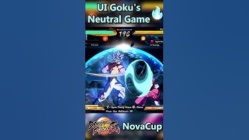 How Good UI Goku NEUTRAL Looks In DBFZ