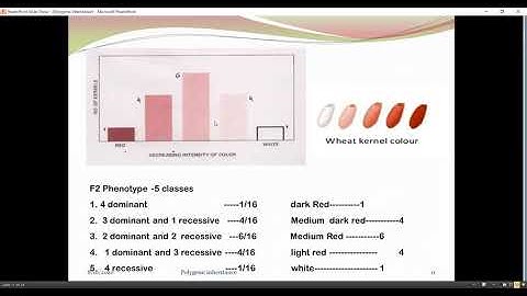 Polygenic inheritance