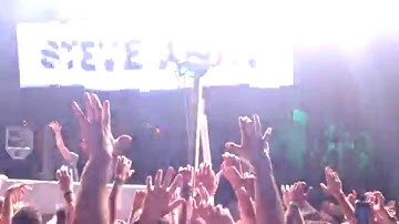 Steve Aoki - THE LION KING (Il re leone) Mykonos Paradise Club