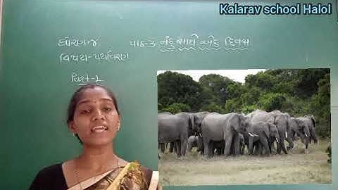 STD - 4 GM PARYAVARAN CH - 3 NANDU SATHE EK DIVAS PART - 1