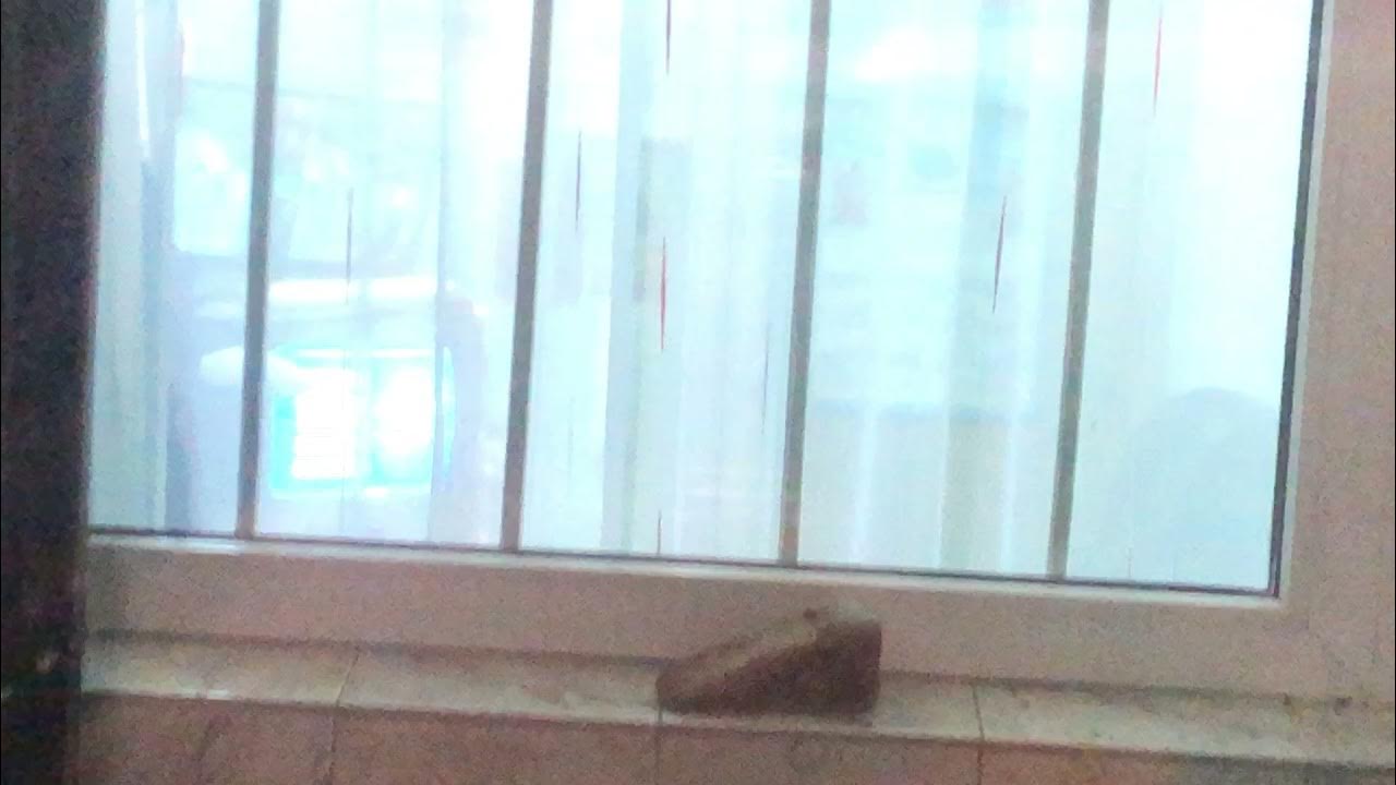 Найти работу для пенсионеров. Консьержка. Требуется на работу консьерж. Работа в новосибирске консьержка. Работа в новосибирске консьержка.