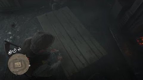 Red Dead Redemption 2 funny random encounter