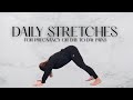 DAILY STRETCHES | For Pregnancy or Day to Day Human Pains | Less than 10 minutes | Prenatal