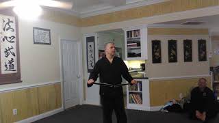 Hoshinjutsu Grandmaster discussing elemental mindsets Hoshin Budo