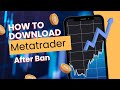 How to Download Metatrader 4 on iPhone (Easily &amp; Painlessly)