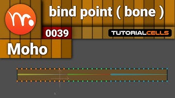 0039. bind point tool for bone in moho