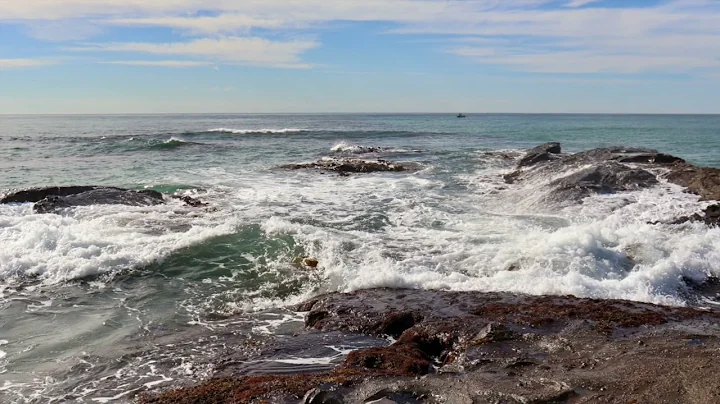 Lessons from Mother Earth by Jodie Blackshaw: Firs...