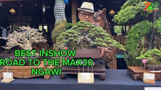 BEST IN SHOW ROAD TO THE MAX30 NGAWI