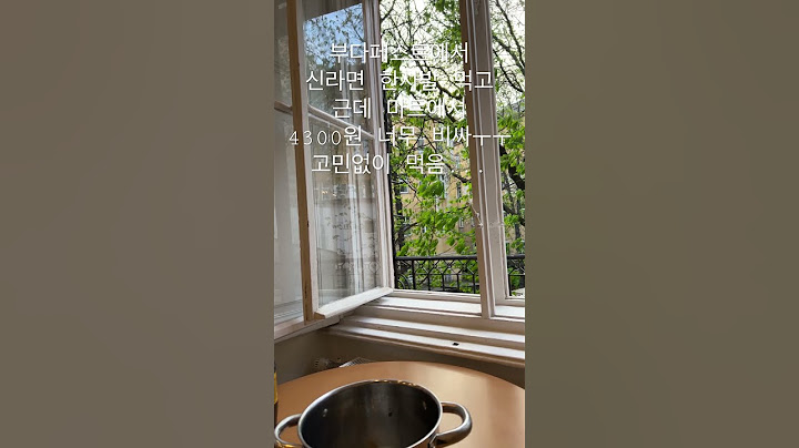 비싼 신라면 그치만 만족했다!! #배낭여행 #travel #여행 #헝가리 #부다페스트 #부다페스트여행 #vlog