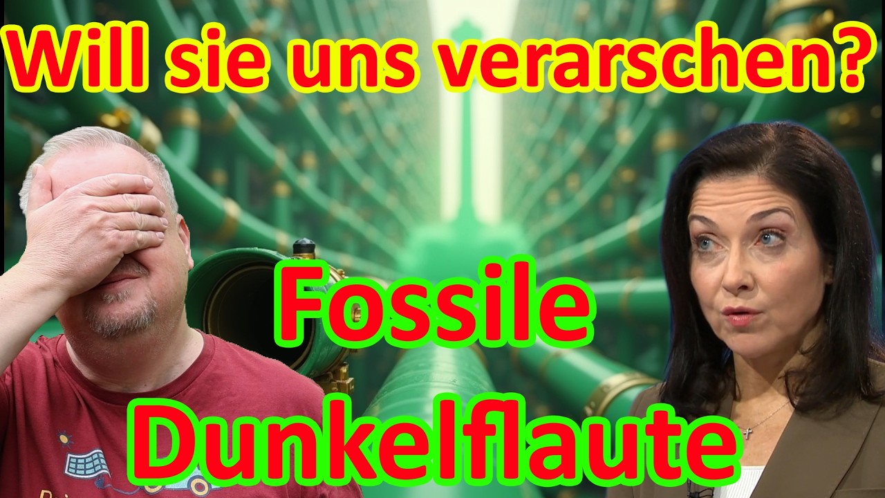 Stoppt die Desinformation: Reiches dreiste Lügen zum Heizungsgesetz