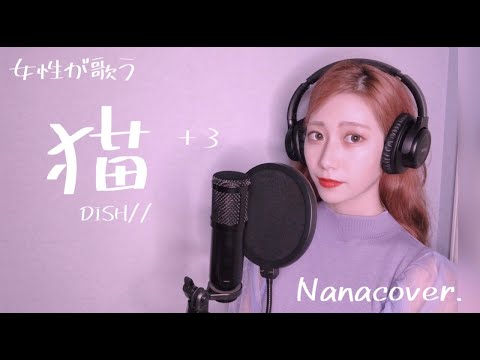 #猫 #DISH #女性が歌う #フルカバー　【歌ってみた】猫/DISH// （＋3）Nanacover.