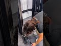 Commercial Grade Functional Trainer DEMO [Echo Strength Depot]