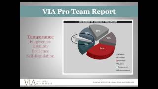 VIA Pro Team Report Tutorial