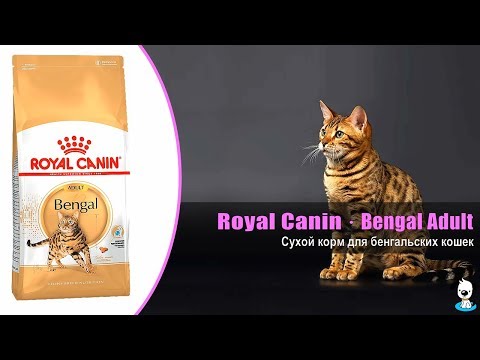 Корм для взрослых кошек породы Бенгальская · Royal Canin Bengal Adult