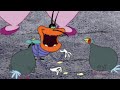 Oggy and the Cockroaches 🐦 BIRDS & DEEDEE 🐦 Full Episode HD