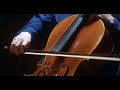 Cafe 1930 - Astor Piazzola - Violin &amp; Cello Duet