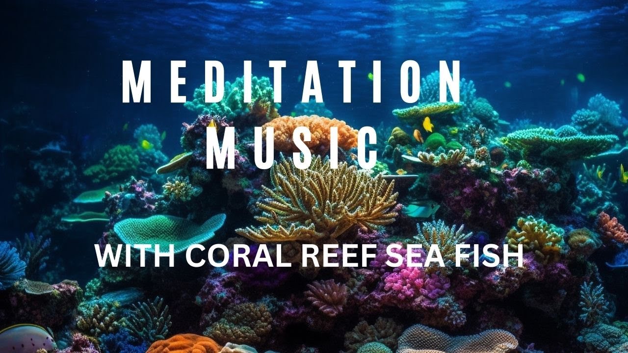 Healing Sea Meditation: Soothing Coral Reef Music