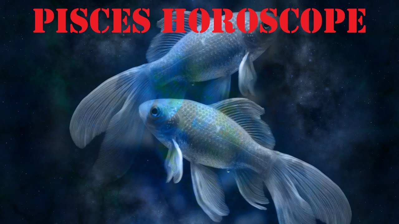 Pisces January Horoscope Your Heart Blooms Like A Garden YouTube