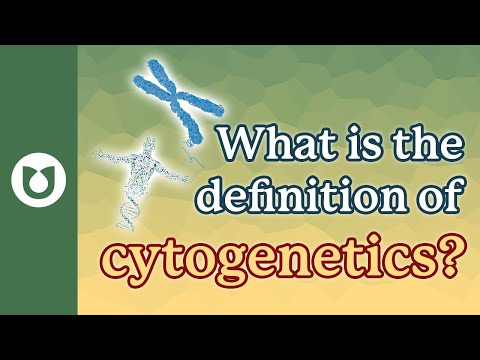 Wideo: Czy cytogenetyka jest terminem medycznym?