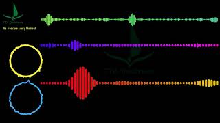 Download Lagu Sex Whales \u0026 Phantom Sage - One Day [Audio] #SexWhales #Audio#OneDay Lyrics #PhantomSage#Lyrics #TTA MP3