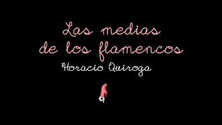 Las medias de los Flamencos de Horacio Quiroga en LSCh