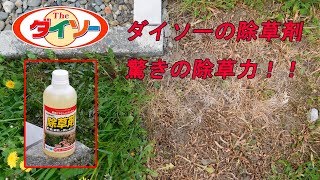 ダイソーの100円 除草剤の除草力がすごい！