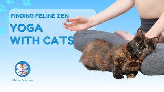 Yoga with Cats: Finding Zen with Your Feline by Meow Mastery 2 views 2 months ago 5 minutes, 35 seconds