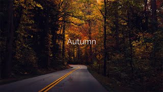 Autumn | Beautiful Ambient/Calm Mix.