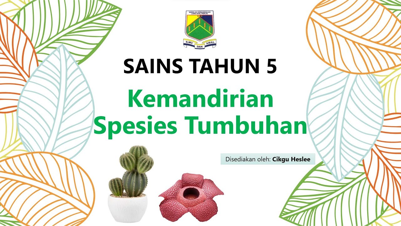 Kemandirian spesies tumbuhan