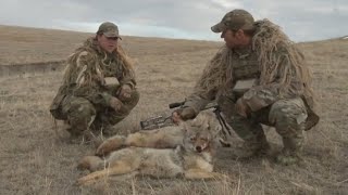 Охота на Волков (Койотов) вместе с O’Neill Ops Wolf Hunting, Coyote Hunting, Wolfsjagd (Kojote)