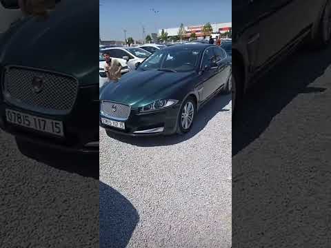 سعر  2017 في الجزائر