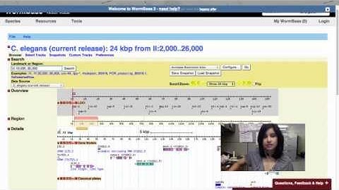 Intro to WormBase: Find Genes in a Region
