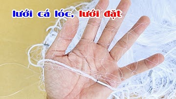 Bán lưới bắt cá lóc đồng, lưới dù đặt giao hàng toàn quốc