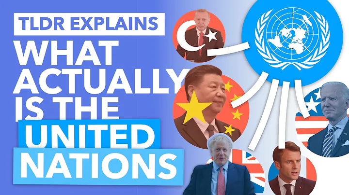 The United Nations Explained: How Does it ACTUALLY Work? - TLDR News - DayDayNews
