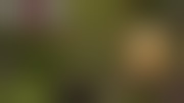 LIVE A LIVE  Switch Gameplay Walkthrough Prehistory  | No Commentary