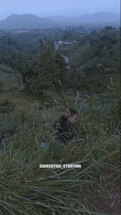 Story Wa Dangdut Koplo | Polosan Ngaret Kekinian | Goyang Santuy 30 Detik