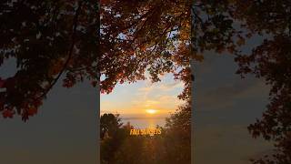 Fall sunsets #fall #sunset #seattle #washington #autumn #leaves #pugetsound