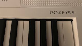 New Roland Go-Keys 5 - Build Quality Issues - Buyer Beware!