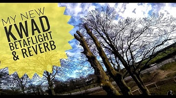 Knowing my new Kwad || Impulse Reverb || TBS Crossfire - FPV Freestyle