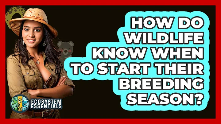 How Do Wildlife Know When To Start Their Breeding Season? - Ecosystem Essentials