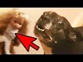 5 Dogs That Saw Something Their Owners Couldn't See - Ghosts & Paranormal