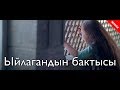 Ыйлагандын бактысы / Жаны кыргыз кино 2019 / Жашоо жаңырыгы